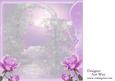 Lilac and Pink Rose 8x8 Square Insert
