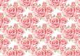 Plump Pink Roses Backing Paper