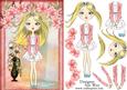 Teen Fashionista! Sweet Blondie Decoupage