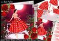 1950's Lady Polka Dots and Red Roses Mini Kit