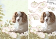 Cocker Spaniel in a Flower Meadow A5 Card Front and Decoupage
