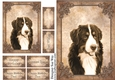 Bernese Mountain Dog Card Front, Topper & Sentiment Tags