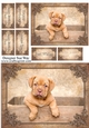 Cute Puppy in a Box Card Front, Topper & Sentiment Tags