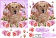 Pretty Birthday Girl Golden Retriever Card Front, Topper and Decoupage