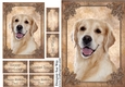 Golden Retriever Card Front, Topper & Sentiment Tags