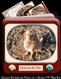 Golden Retriever Puppy on a Retro TV Mini Kit
