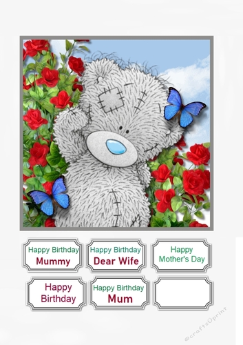 Tatty teddy with roses Birthday or Mothers Day