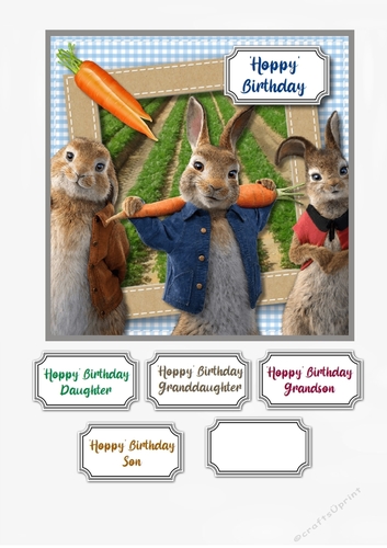 Hoppy Birthday Peter Rabbit and Friends
