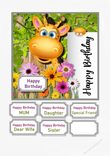 George the Giraffe Birthday