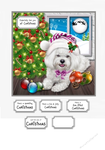Waiting for Santa Paws