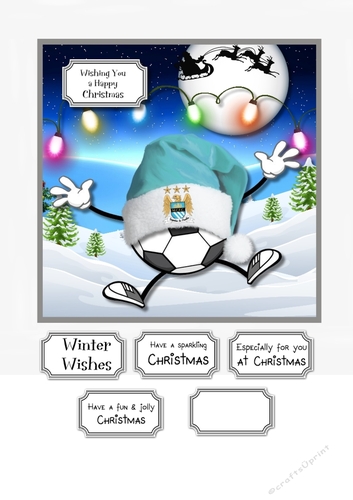 Manchester City Fan Christmas Football