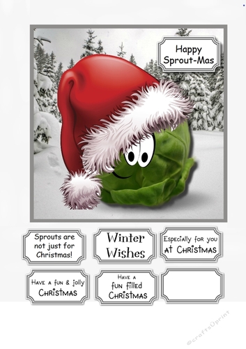Sprouts are not just for Christmas!
