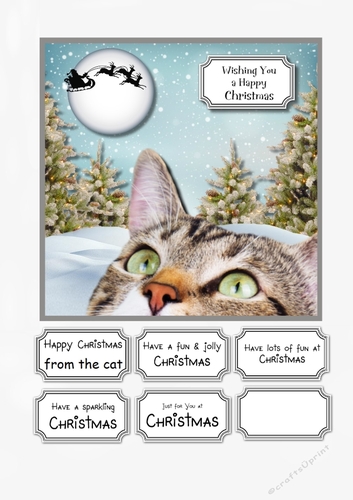 Christmas Cat