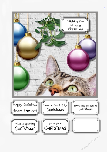 Christmas Cat 2