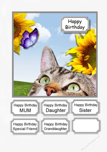 Birthday Cat with Sunflowers