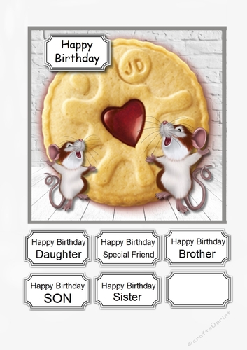 Jammie Dodger Birthday