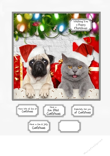 Christmas fur babies