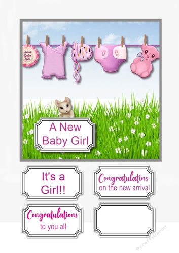 New Baby Girl
