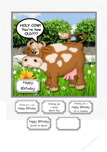 Holy Cow! Youre how OLD???