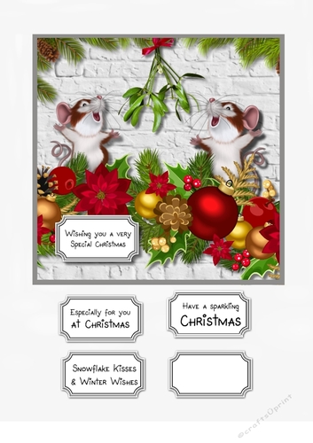 Christmas kiss under the mistletoe
