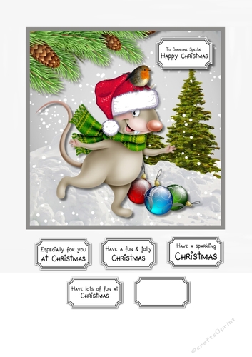 Christmas mouse and robin