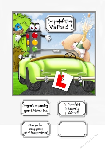 Forever Friends Congratulations on passing your driving test
