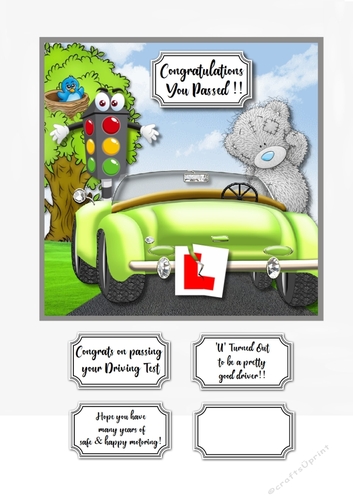 Tatty Teddy Congrats on passing your driving test