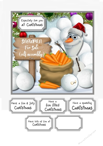 Snowmen for sale....self assembly required