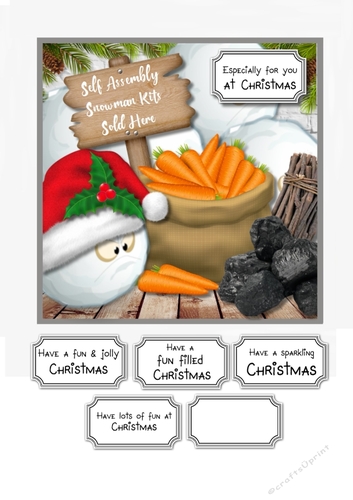 Self Assembly Snowmen Kits For Sale