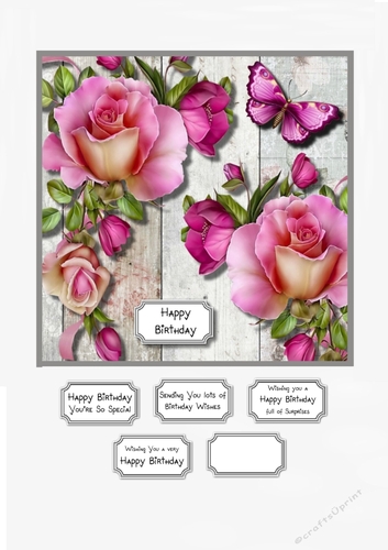 Pink roses and butterfly