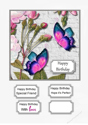 Flowers and Butterflies