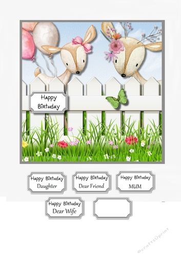 Over the Fence Birthday