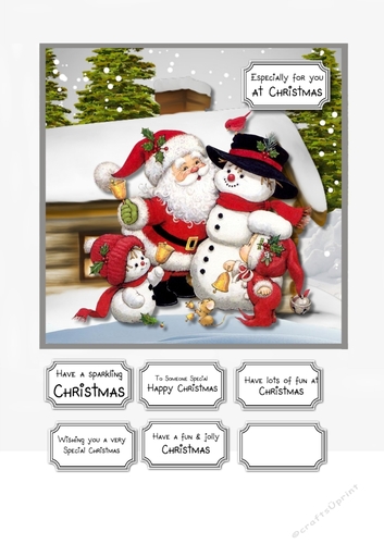 Santa, snowman and friends