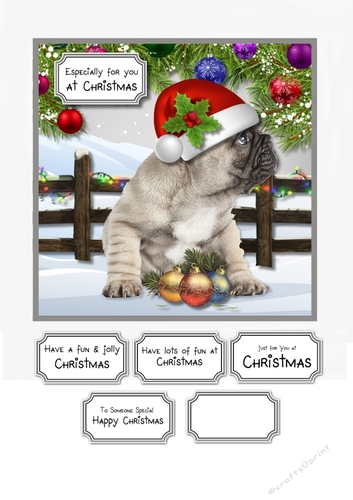 A Puppy is not just for Christmas