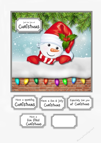 Snowman peek a boo
