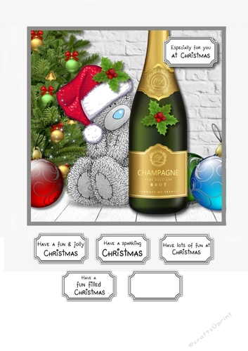 Tatty Teddy Christmas Champagne