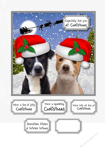 Santa Paws is coming
