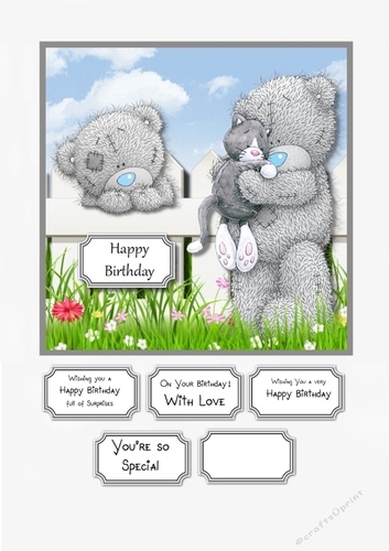 Tatty teddy Birthday
