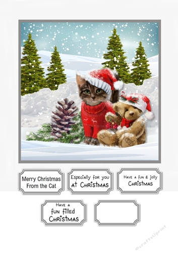 Merry Christmas from the Cat