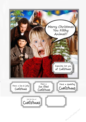 Merry Christmas You Filthy Animal