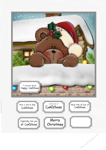 Christmas Peek a boo teddy