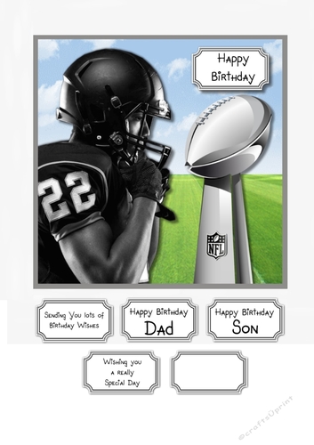 Touch Down American Football 