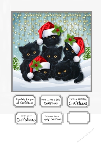 Lucky Black Christmas Cats