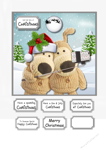 Boofle Christmas Selfie