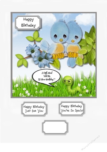 A Little Bird Told Me Its Your Birthday