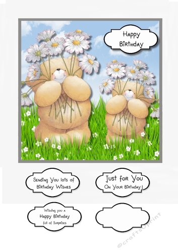 Forever Friends Daisy