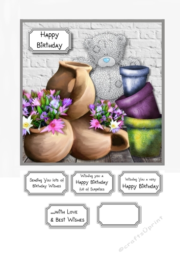 Tatty teddy with flower pots