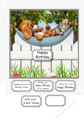 Relax its your Birthday