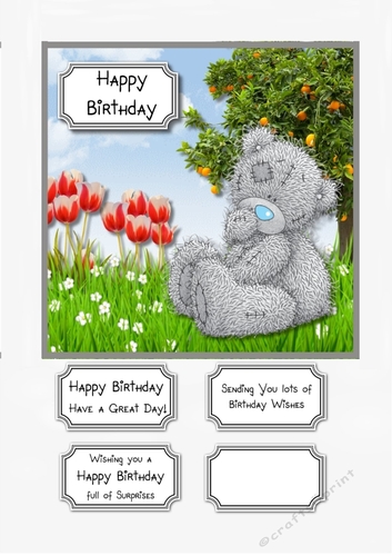 Tatty Teddy Birthday