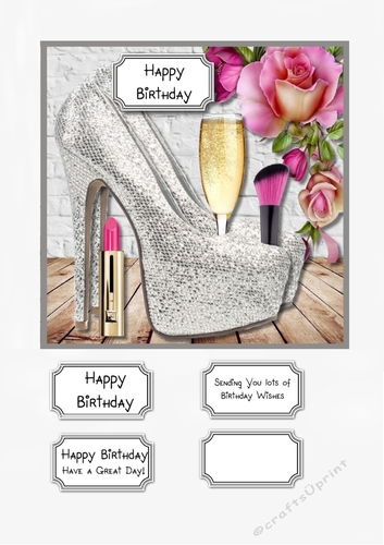 Silver Shoes